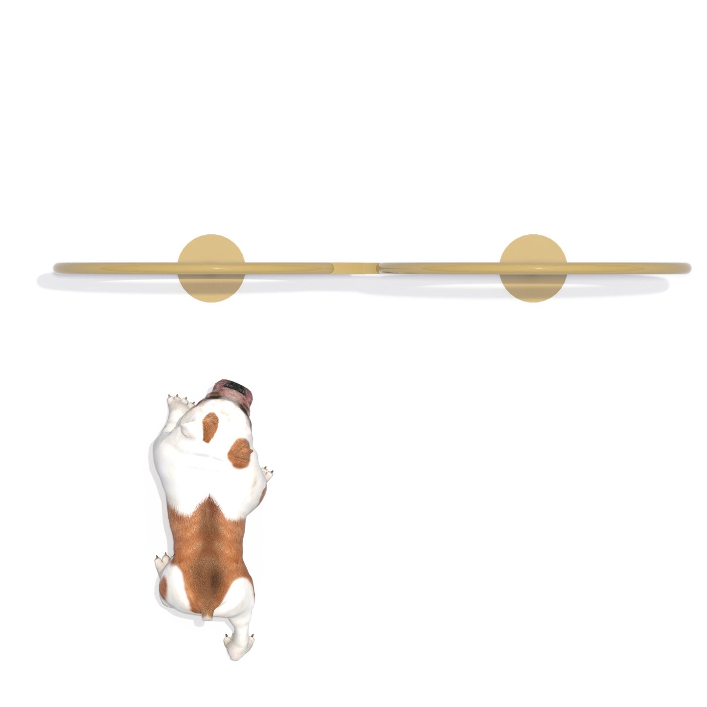 Aro de Salto Dual Canino-Salto-FY21203-Circuito Canino-Play Plaza