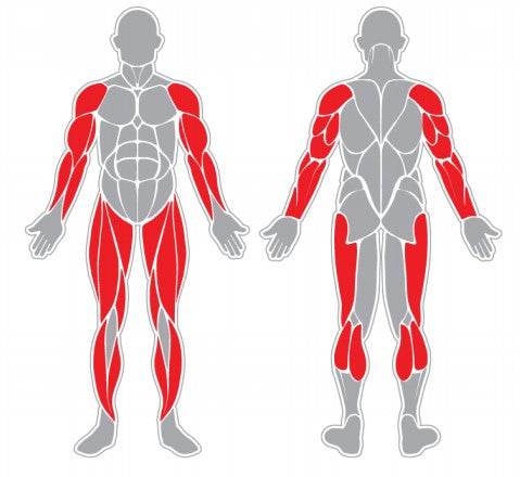 Bicicleta - Play Plaza
