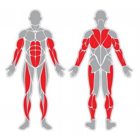 Cabalgata - Play Plaza