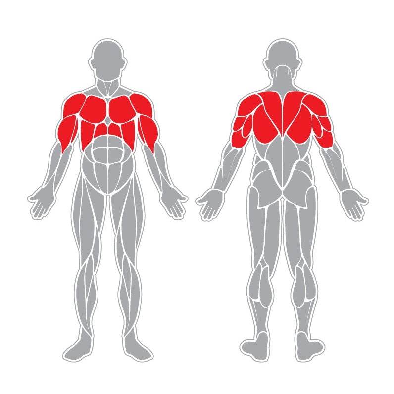 Elongadora inclusivo - Play Plaza