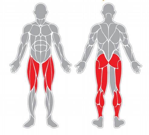Femoral Sentado - Play Plaza