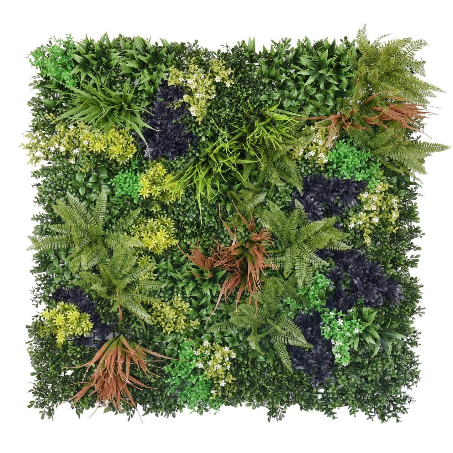 Jardin Vertical Natural - Play Plaza