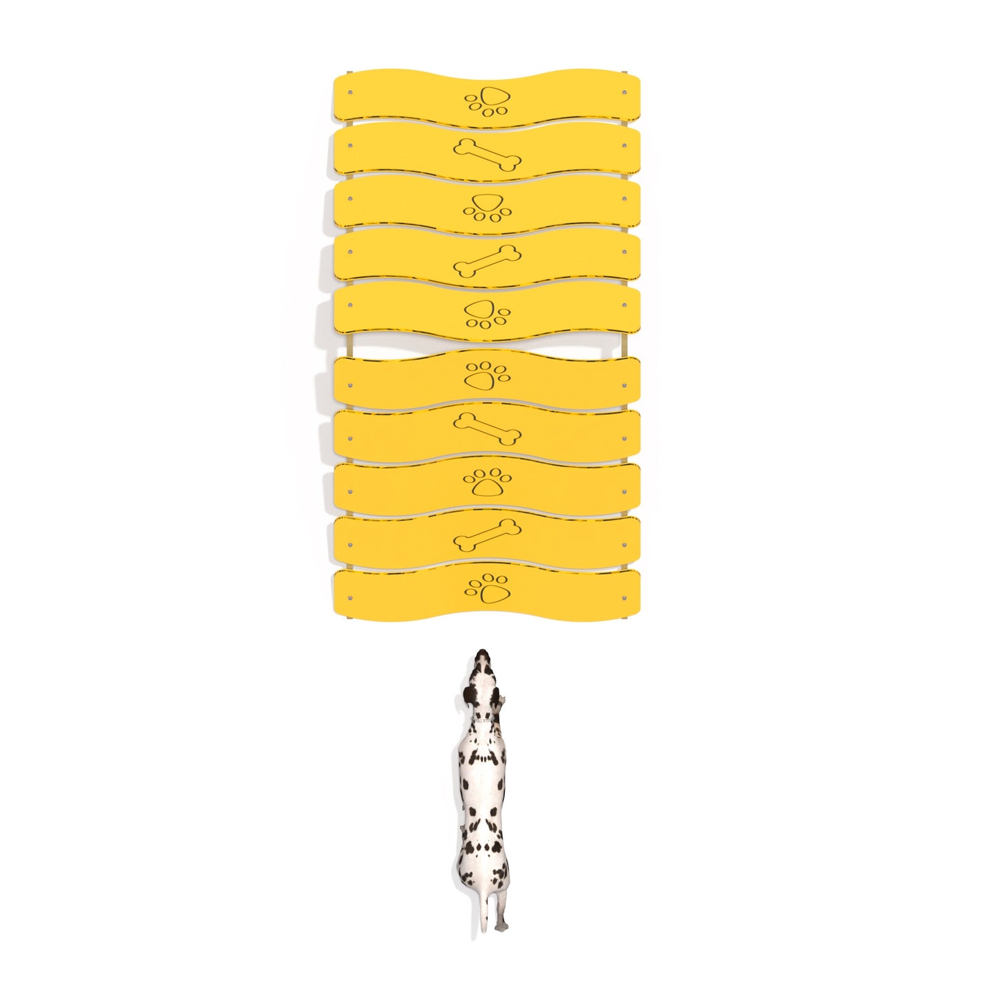 Pasarela Canino Pro-Pasarela-FY21206-Circuito Canino-Play Plaza