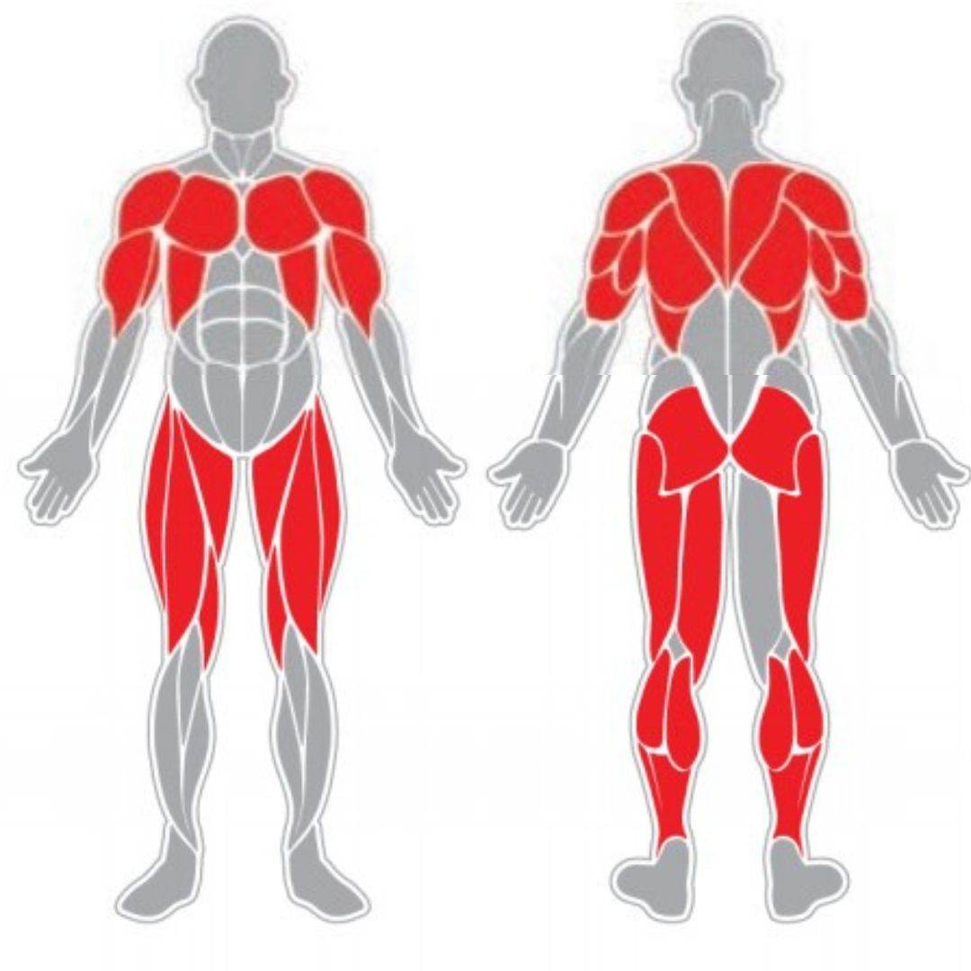 Pectorales de Pie - Play Plaza