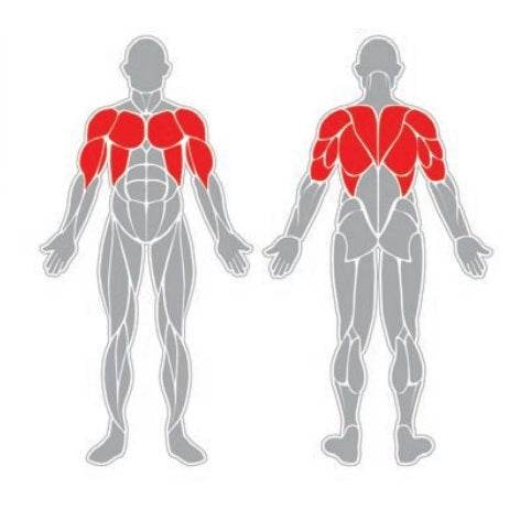 Pectorales Sentado - Play Plaza