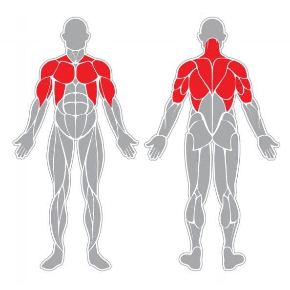 Pectorales y Brazos - Play Plaza