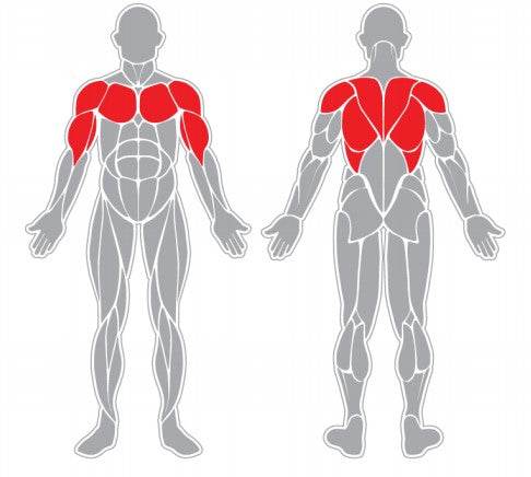Pectorales y Brazos - Play Plaza