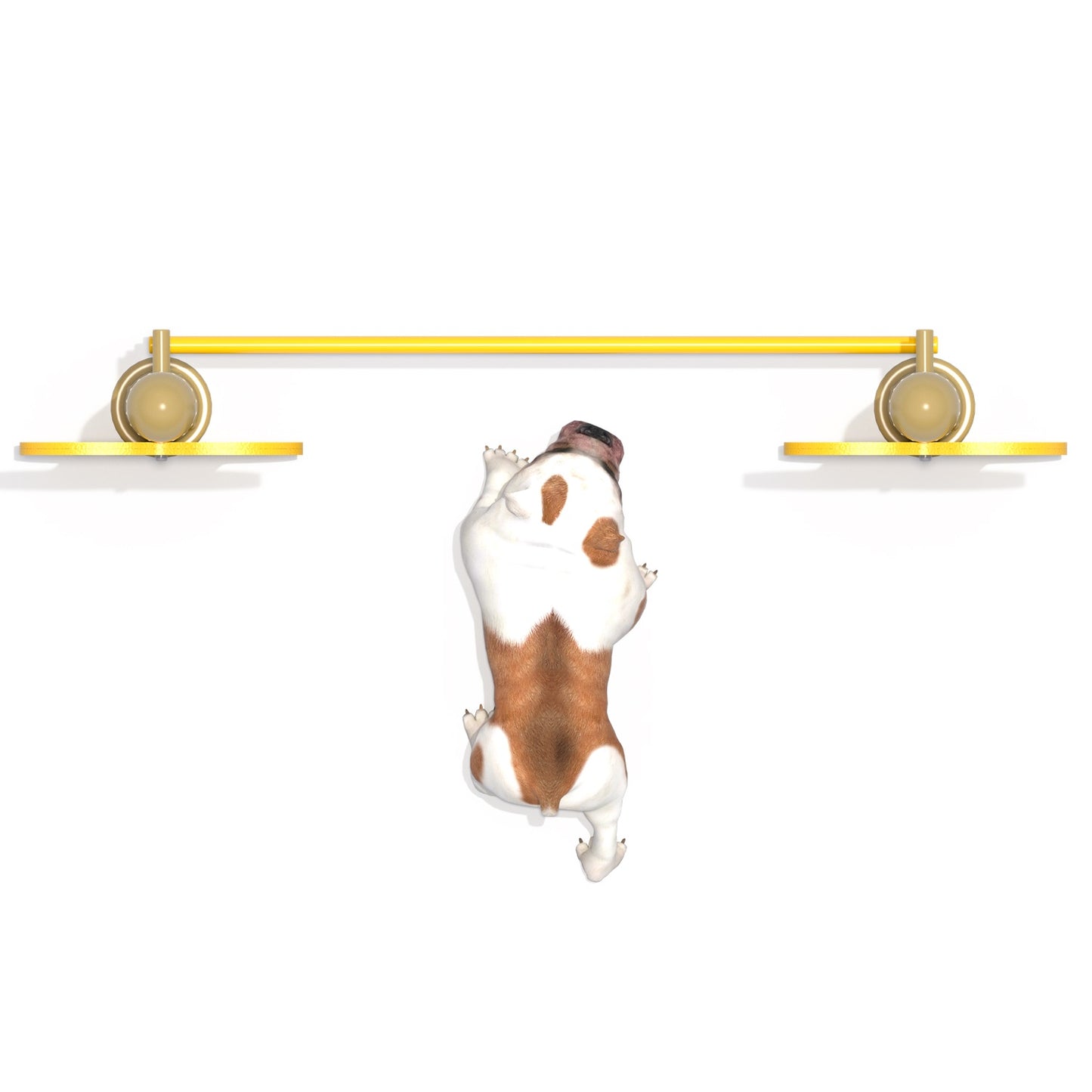 Salto Alto Canino-Salto-FY21101-Circuito Canino-Play Plaza