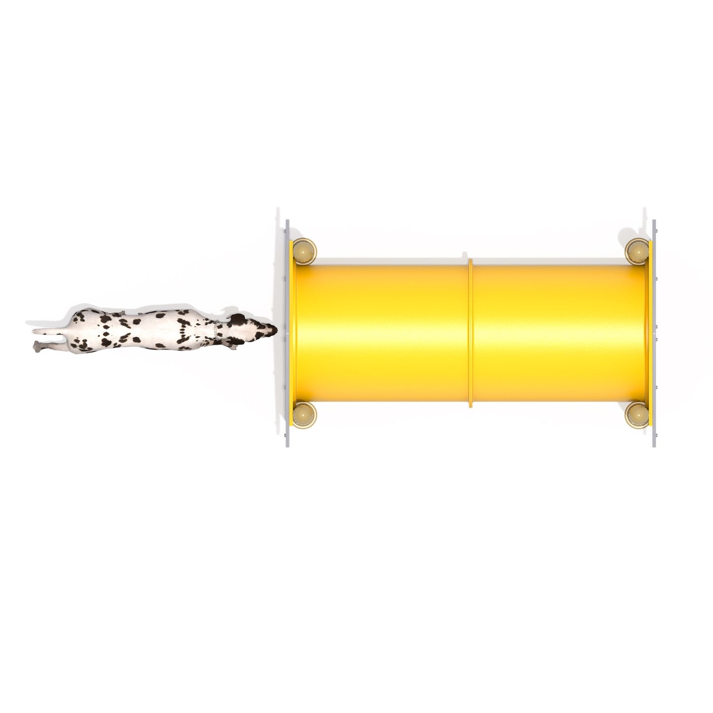 Túnel Canino-Túnel-FY21102-Circuito Canino-Play Plaza