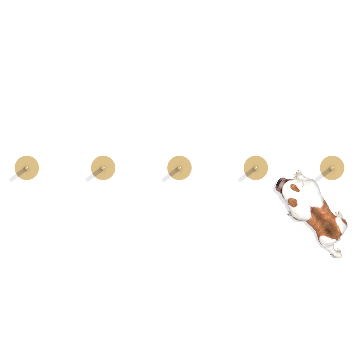 Zig Zag Entrenamiento Canino-Zig Zag-FY21202-Circuito Canino-Play Plaza