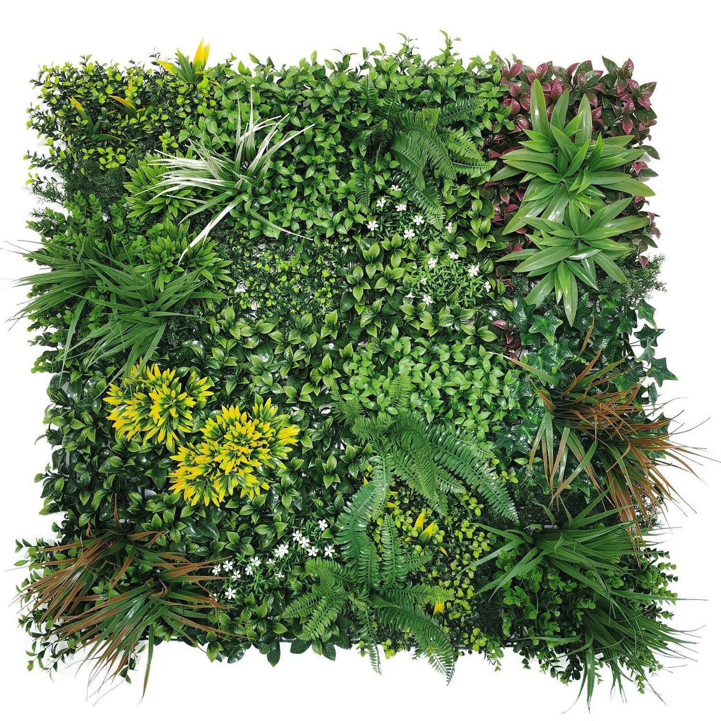 Jardin Vertical Primavera - Play Plaza
