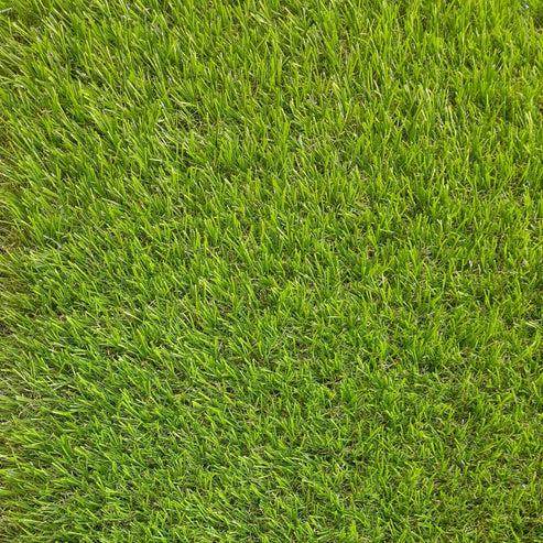 Pasto 40mm 2x5 Metros - Play Plaza
