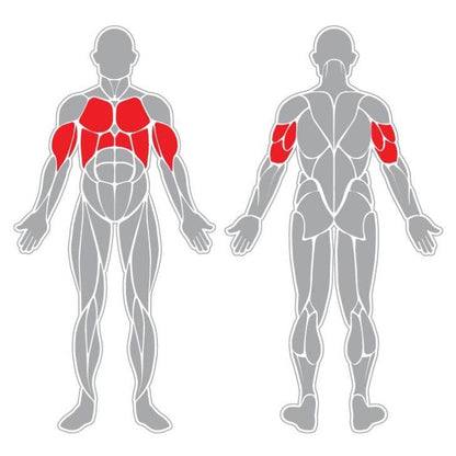 Pectorales y Brazos - Play Plaza