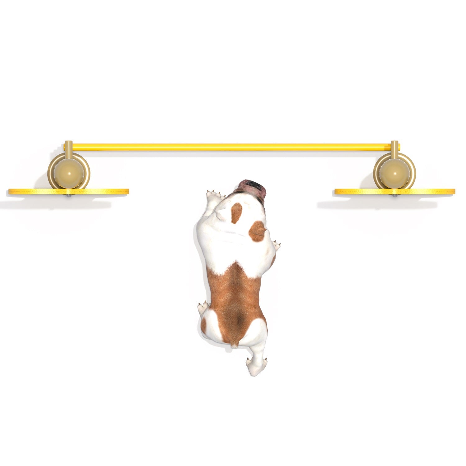 Salto Alto Canino-Salto-FY21101-Circuito Canino-Play Plaza