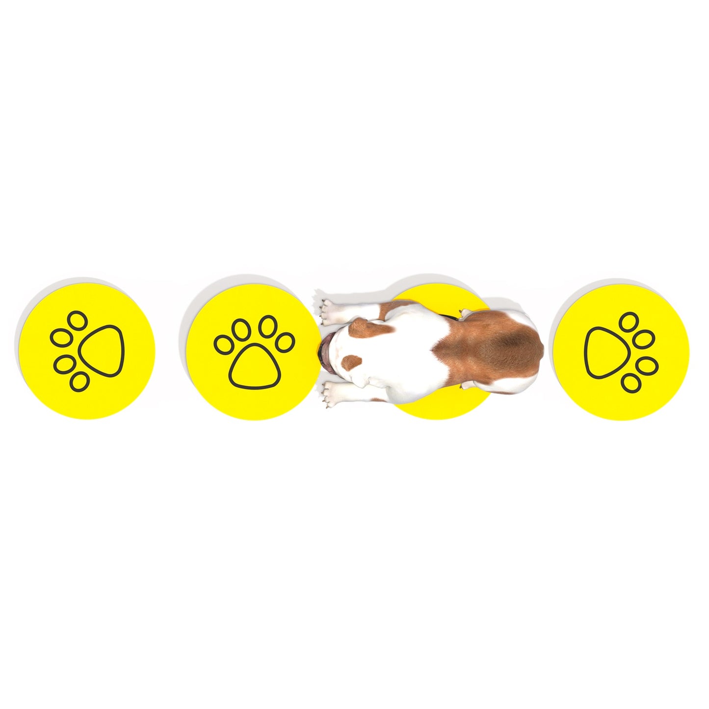 Set de Equilibrio Canino-Equilibrio-FY21106-Circuito Canino-Play Plaza