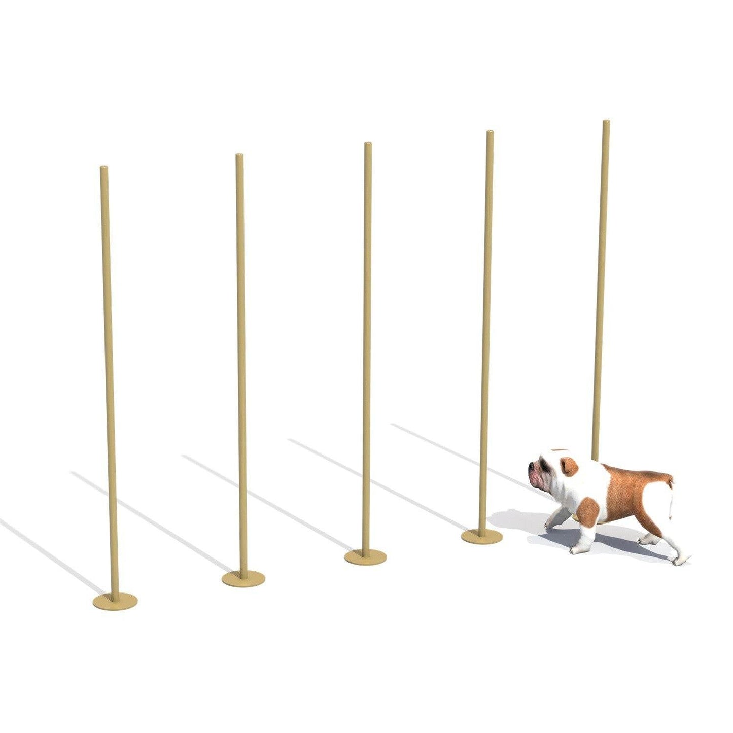 Zig Zag Entrenamiento Canino - Play Plaza