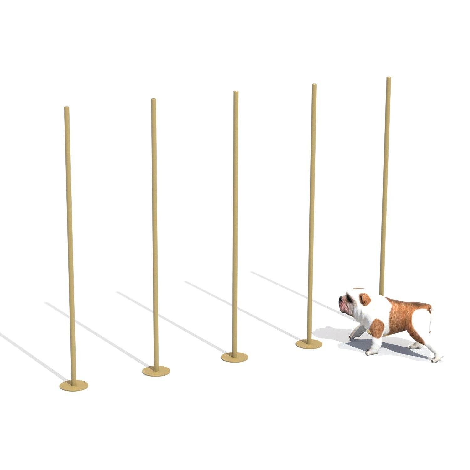 Zig Zag Entrenamiento Canino - Play Plaza