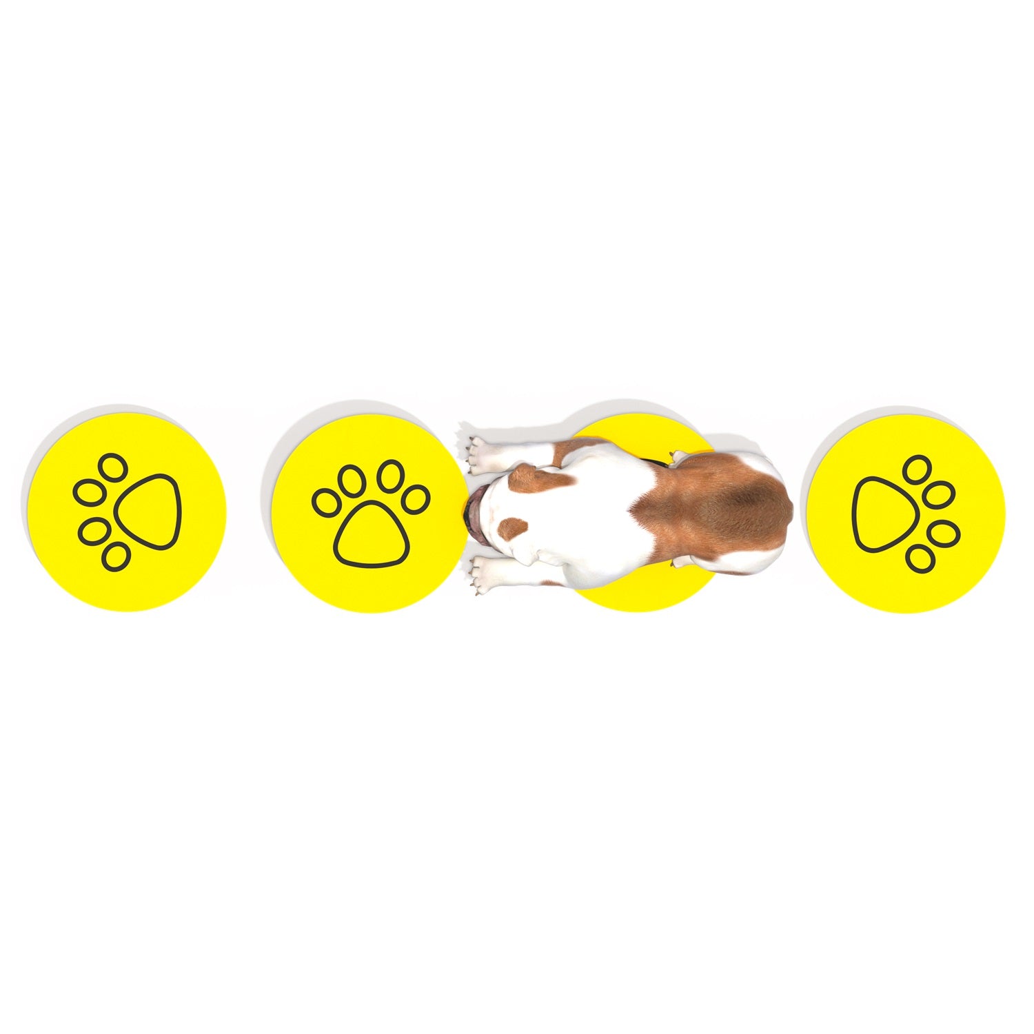 Set de Equilibrio Canino-Equilibrio-FY21106-Circuito Canino-Play Plaza