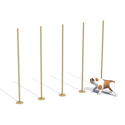 Zig Zag Entrenamiento Canino - Play Plaza
